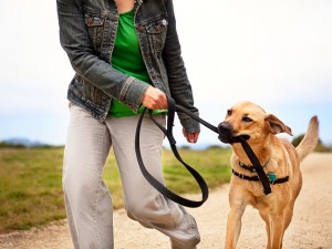 Planet Lounge Radio Health: walking, walking, walking